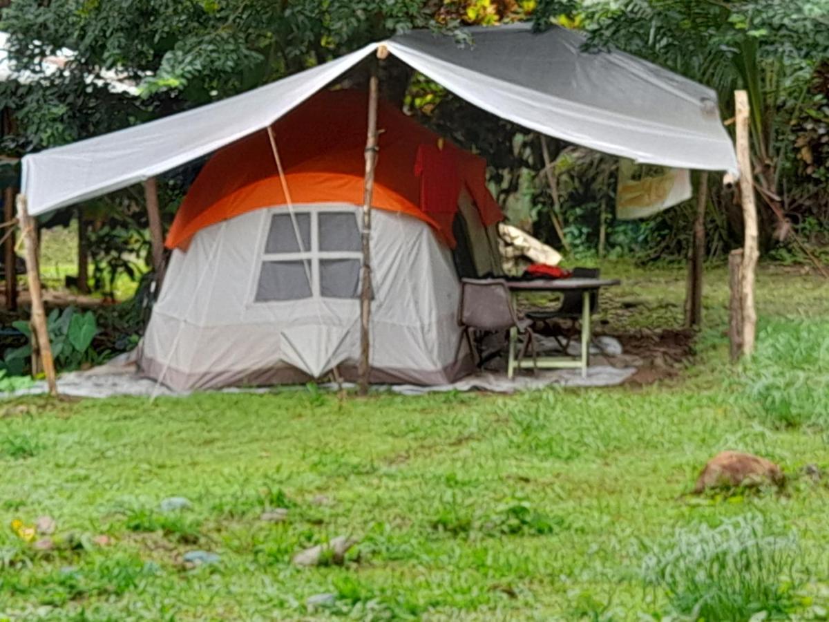 3 Rivers Eco Lodge Rosalie Eksteriør billede