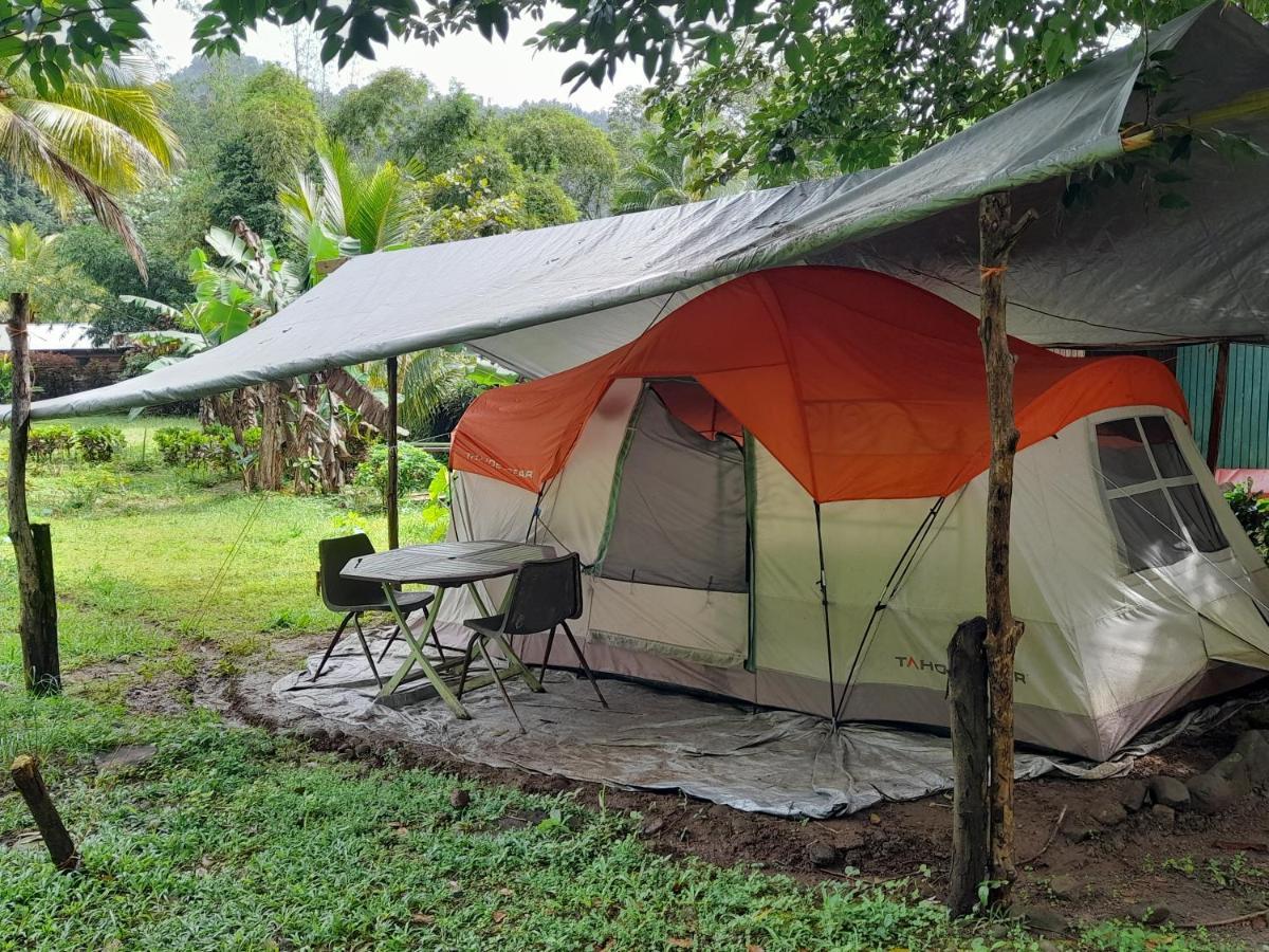 3 Rivers Eco Lodge Rosalie Eksteriør billede
